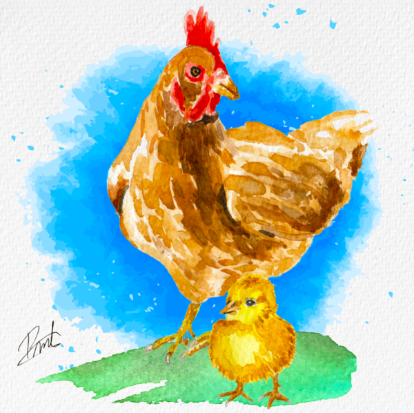 Cartel 20x20 Gallina