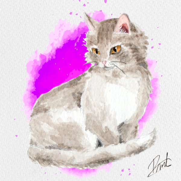 Cartel 20x20 Gato