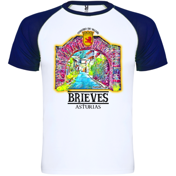 Camiseta Bicolor Brieves